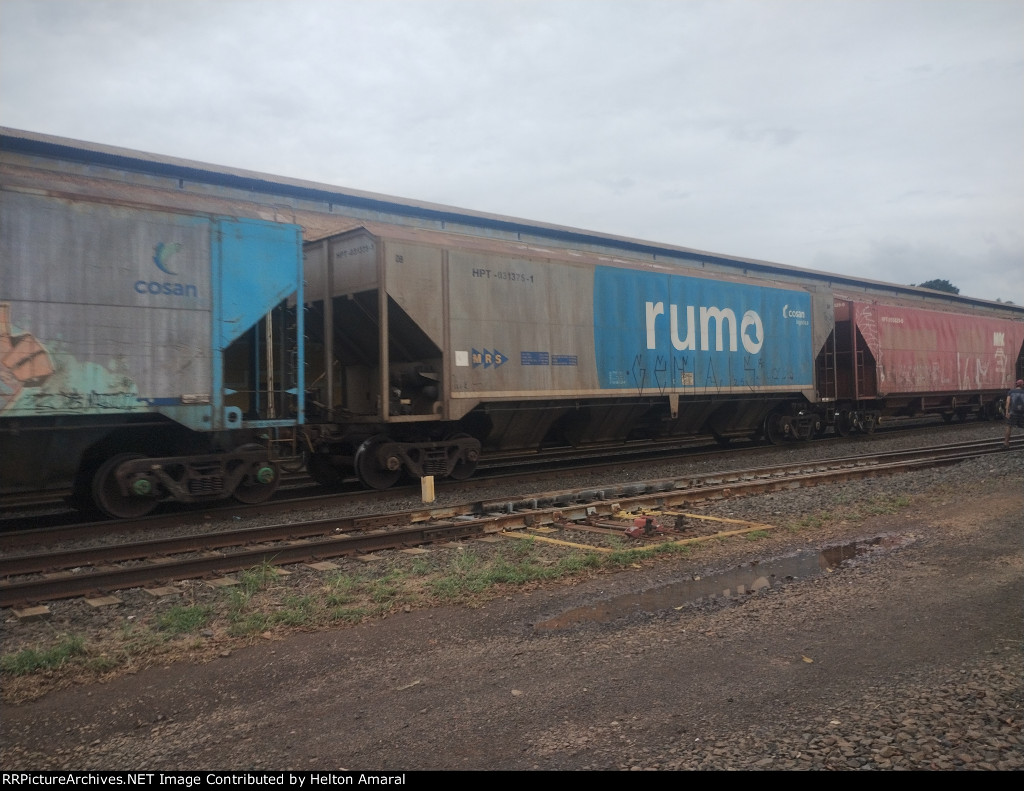 RUMO HPT-031375-1